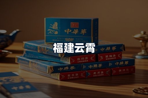 福建云霄